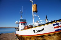 Brimill HU 18. Ljósm: sealwatching.is.